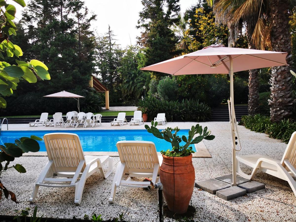 Villa Solaria サンタ・ヴェネリーナ エクステリア 写真